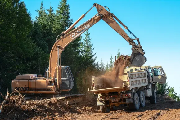 Wombet Kasino Sokongan